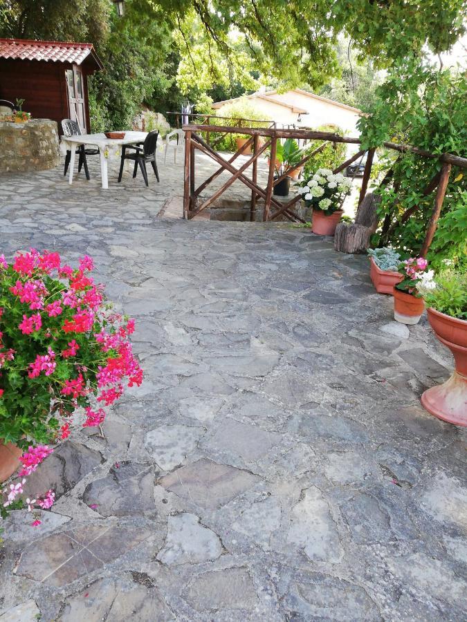 Villino Rosi Villa Monteverdi Marittimo Kültér fotó